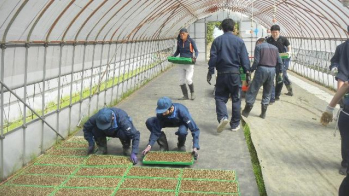 校外作業学習（環境班）