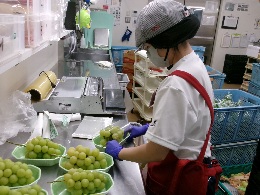 ２学期校外就業体験（１学年・２学年・３学年）