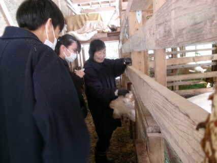 農業体験に向けての事前学習